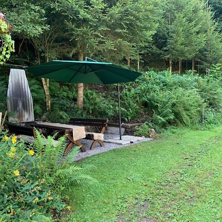 Hoernleberg - Stubenhof, Black Forest Simonswald Extérieur photo